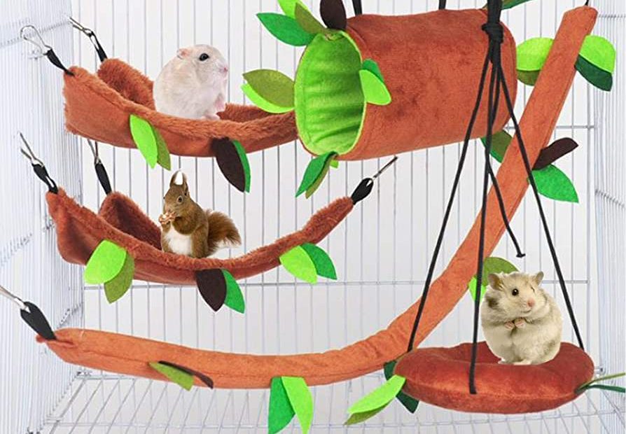 Amazon.Com: 5Pcs Hamster Hammock Small Animals Hanging Warm Bed House Cage  Nest Accessories Forest Pattern Cage Toy Leaf Hanging Tunnel And Swing For  Sugar Glider Squirrel Hamster Playing Sleeping : Pet Supplies
