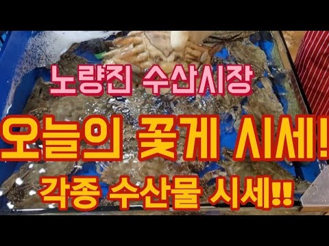 오늘 꽃게 시세는 어떻게? (How Is Today'S Flower Crab Price?)