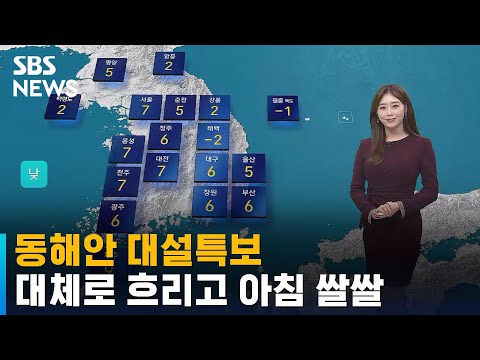 [날씨] 동해안 대설특보…대체로 흐리고 아침 쌀쌀 / SBS
