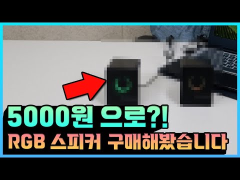 다이소에서 5,000원으로 RGB 스피커를 살수있다고?(You can buy RGB speakers for 5,000 won at Daiso?)