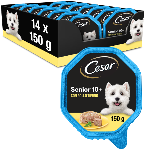Cesar Wet Food For Senior Dogs In Pate With Chicken And Rice Tub - Miscota  United States Of America