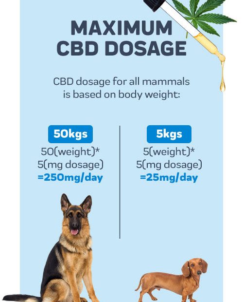 Cbd Dosage Calculator For Dogs & Cats – Innovet Pet