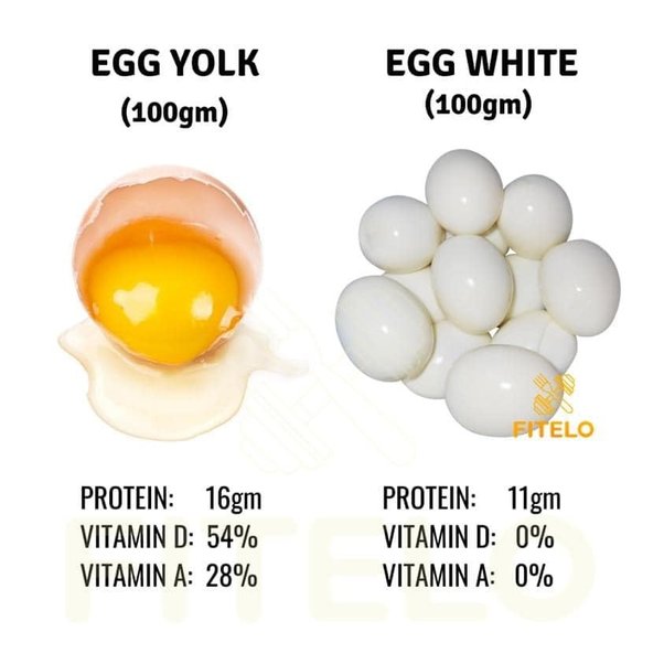 Nutritionally, How Are Egg Whites Different From The Egg Yolk? - Quora
