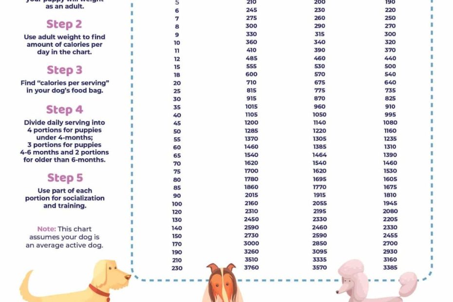 how-much-food-to-give-a-15-pound-dog-feeding-guidelines