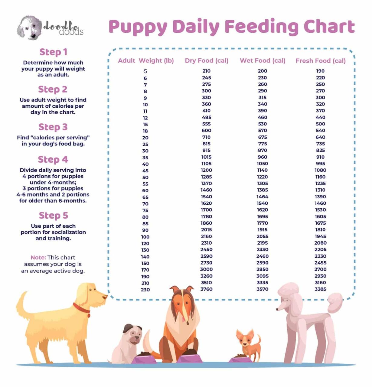 how-much-food-to-give-a-15-pound-dog-feeding-guidelines