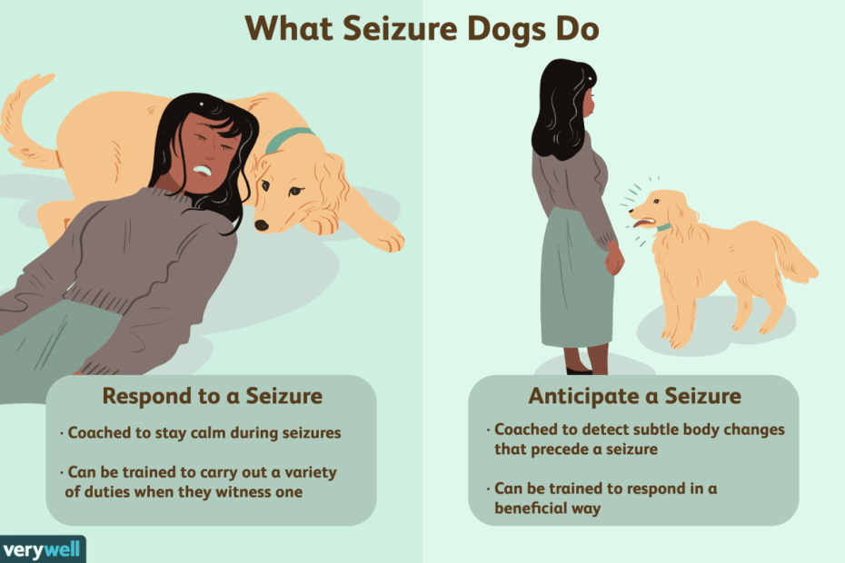 How Seizure Dogs Help People With Epilepsy