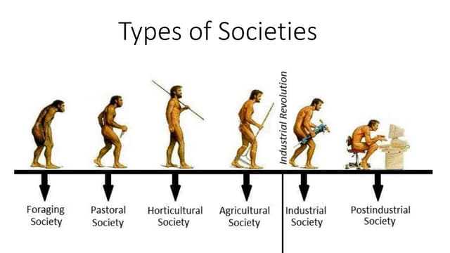 Kinds Of Society
